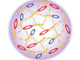 Personalized cancer vaccines