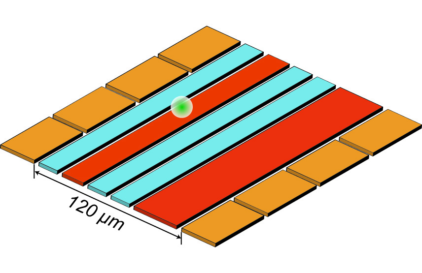 Diagram of NIST’s ion trap used for reversible “quantum squeezing” to amplify and measure ion motion. The ion (white ball) is confined 30 micrometers above the trap surface by voltages applied to the eight gold electrodes and the two red electrodes. Squeezing—which reduces the uncertainty of motion measurements—is achieved by applying a specific signal to the red electrodes. The ion is moved by applying another type of signal to one of the gold electrodes. Then the squeezing is reversed, and the blue electrodes generate magnetic fields used to decode the amplified motion measurements. @ S. Burd/NIST