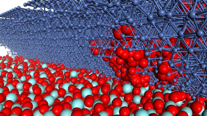 The initial positions of the atoms in this computer model of a solid-oxide fuel cell were based on observations of the actual atomic configuration using electron microscopy. Simulations using this model revealed a previously unreported reaction (red path) in which an oxygen molecule from the yttria-stabilized zirconia layer (layer of red and light blue balls) moves through the bulk nickel layer (dark blue balls) before forming OH on the nickel surface. @ Michihisa Koyama, Kyushu University