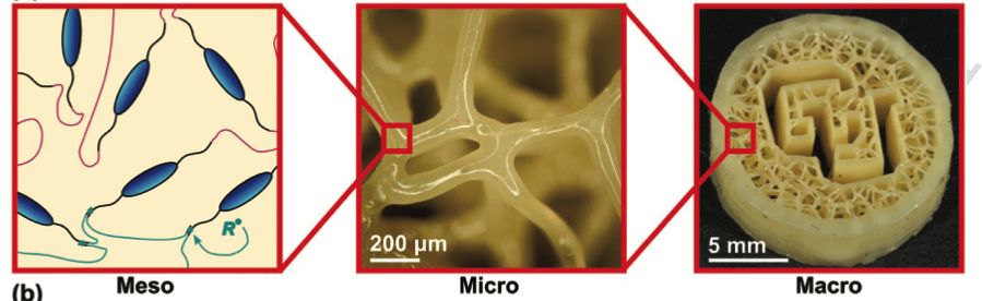 Dissipation controlled across length scales from the resin chemistry (mesoscale), to the microscale lattice architecture, and the overall macrostructure of printed structures @ CU Denver