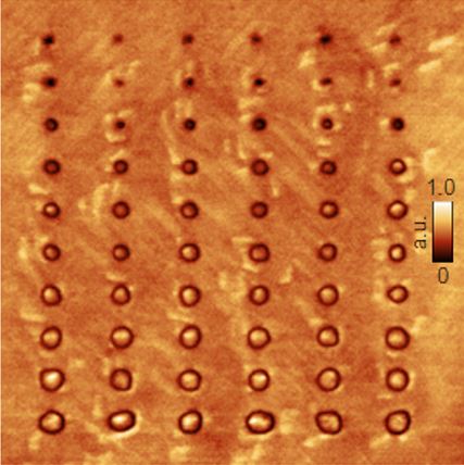 Voltage-dependent domain formation @ FLEET