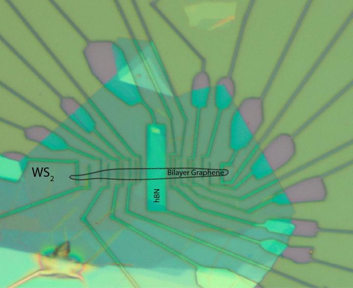 The multi-layered device used in the study. WS2: tungsten disulfide, hBN: boron nitride layer @ S. Omar, University of Groningen