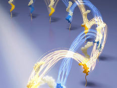 Built for speed: DNA nanomachines take a (rapid) step forward
