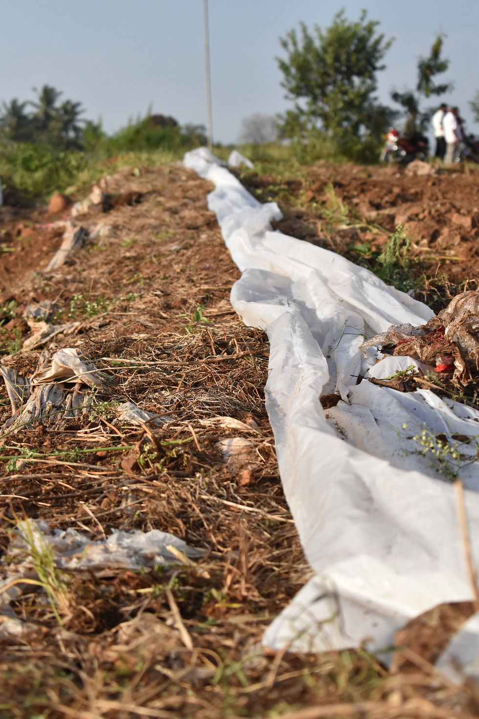 Agricultural Packaging