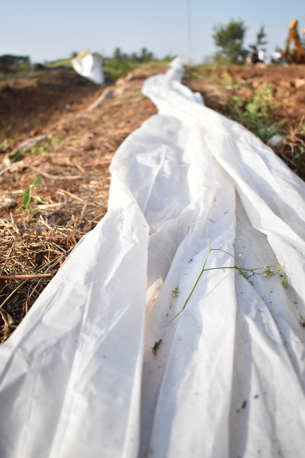 Agricultural Packaging