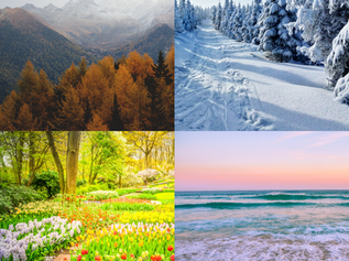 Armocromia: stagioni e sottogruppi 