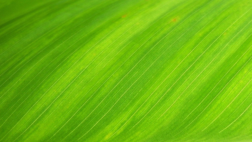Acupuncture for Acne and Eczema