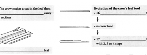 IELTS Academic Reading Test-13 with Answer