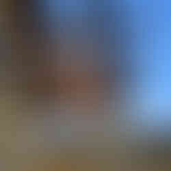 Argento Lux Wood Trellis Project