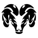 RAM