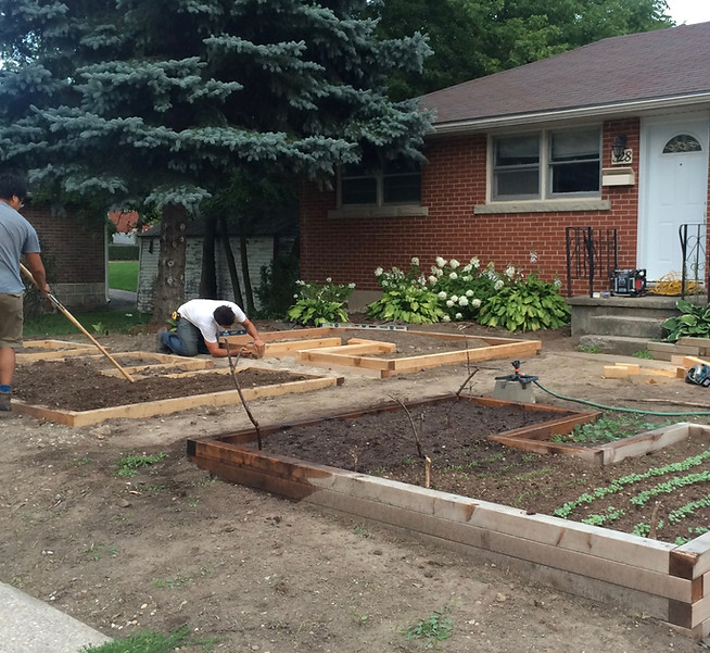 Community Garden on Student Rental Property