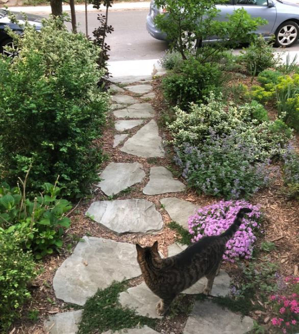 Flagstone Path