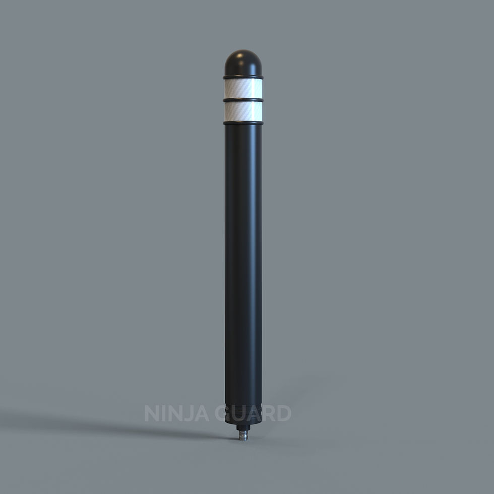 Thumbnail: D10 X H10 Flexible Bollard-Round Cap