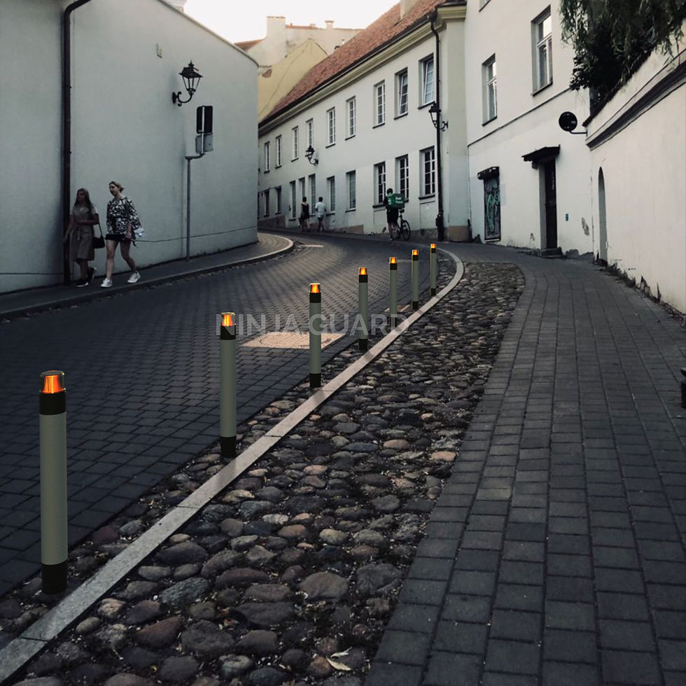 Thumbnail: D10 LED Flexible Bollard_Black color