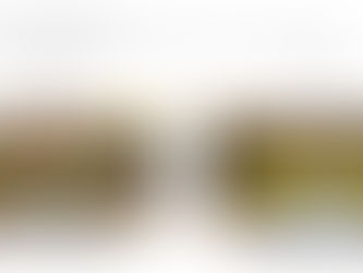 Trench Cover: Tested & Certified & Built for UK Sites