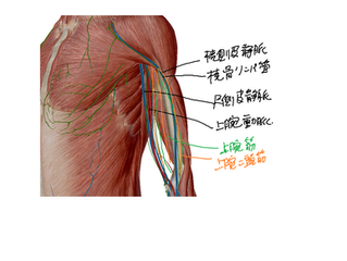 情報