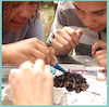 New Curriculum Items and Resources!