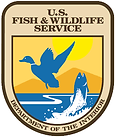 USFishGame.png