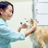 横浜市動物愛護基金