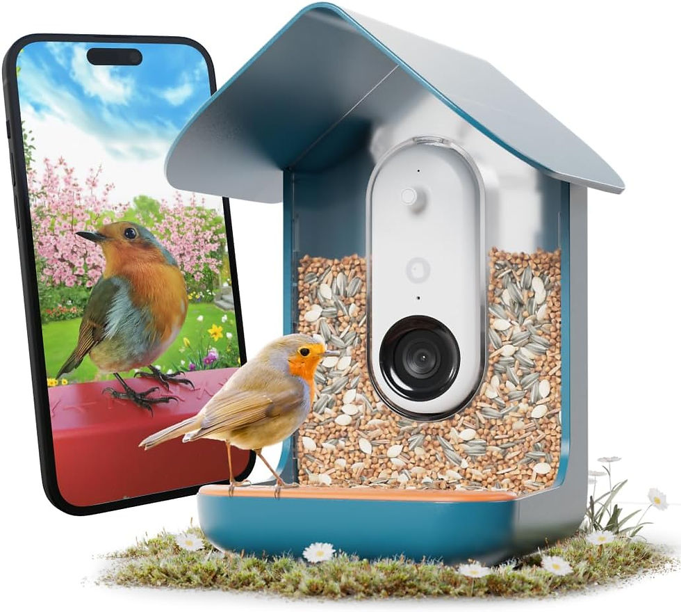 BirdBuddy Review: The Smart Bird Feeder Everyone Is Talking About in 2026