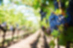 攝影師:Pixabay: https://www.pexels.com/zh-tw/photo/39511/