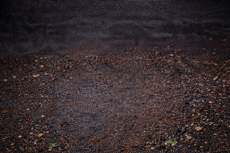 ChatGPT Image Apr 5, 2026, 11_07_32 PM.png