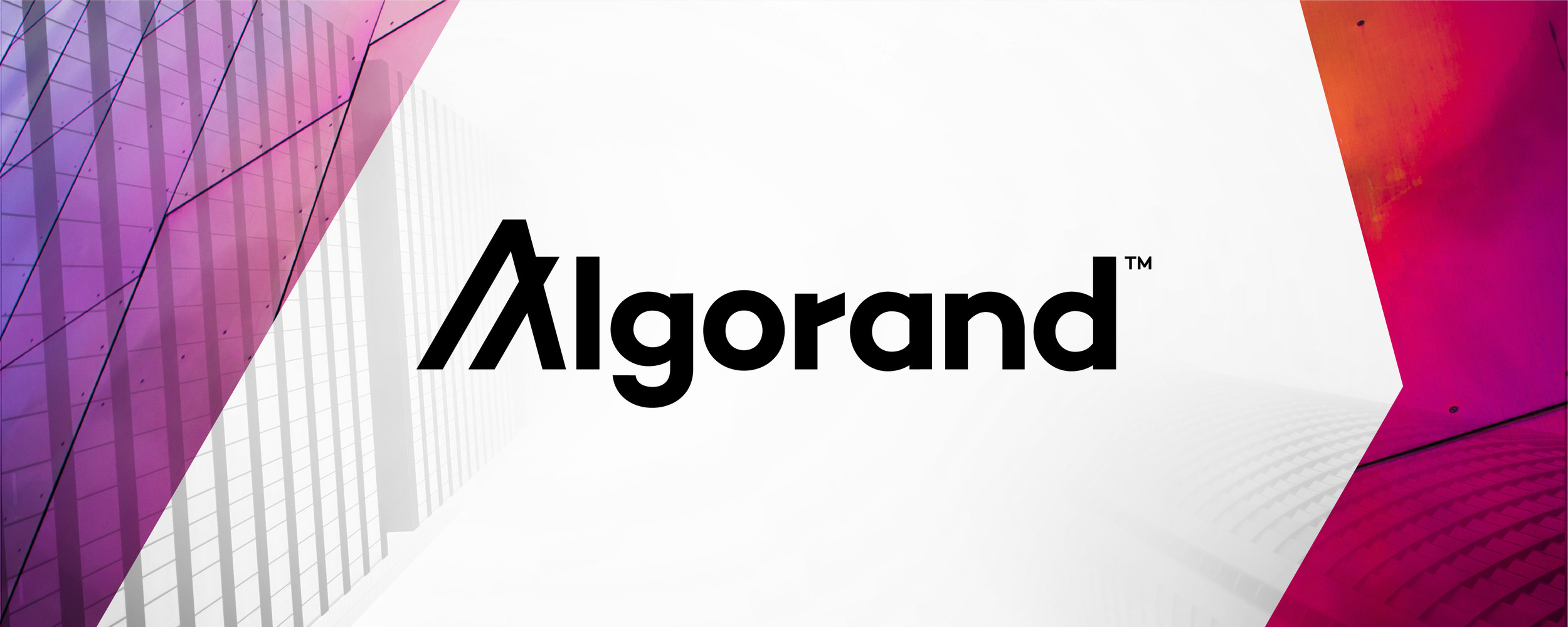 Algorand Brand | Nicole Procter | Graphic Design