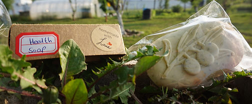 Detoxifying Health Soap