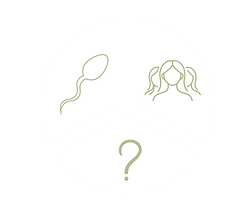 Untitled design (1).png