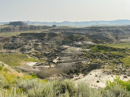 Badlands Blog