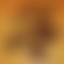 Lumière muhammadienne