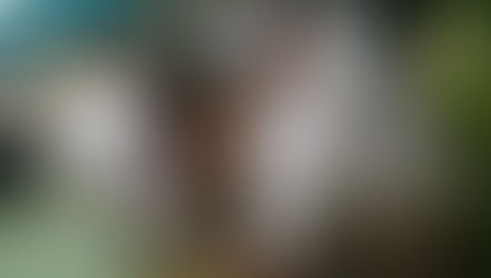 Télé-enseignement divin