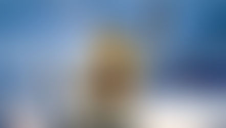 Justice COUPABLE !!!