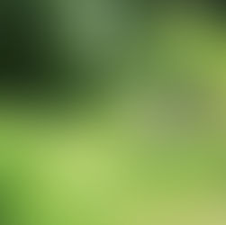 夏の日に 2025/7/28