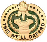 DS Badge.jpg