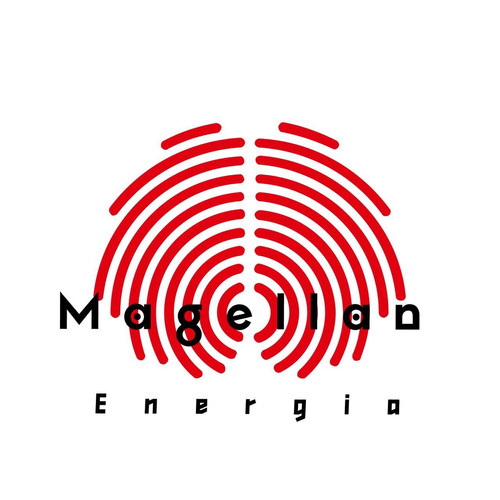 マゼラン・エネルジア｜Magellan energia｜ 皮張替え（片面） | 津軽