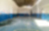 Banner site-10_edited.jpg