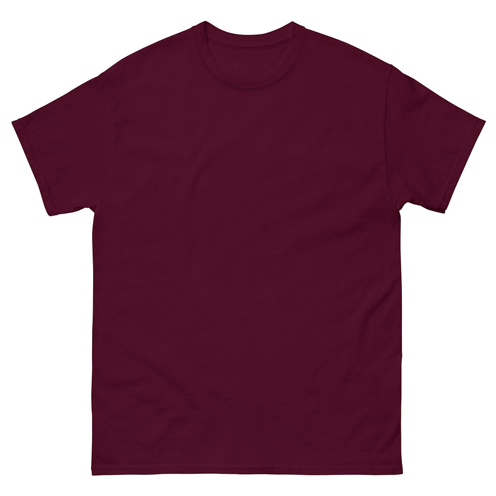 Miniature : Men's classic tee - RIDE SAFE