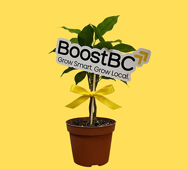 BoostBC