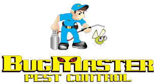 Case Study: Seamless Migration & Security Overhaul for Bug Master Pest Control in Kelowna BC