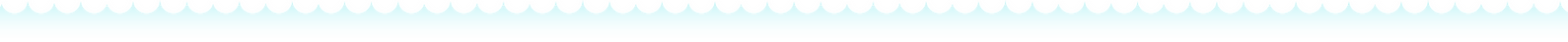 bordinha fundo_Prancheta 1.png
