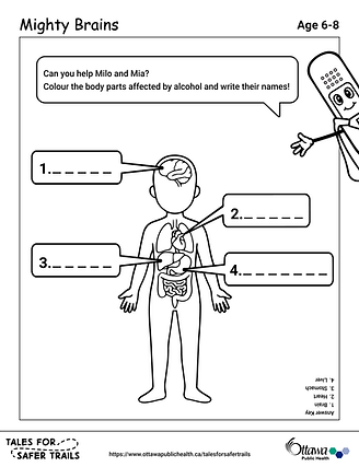 One-Pager6-8_Back.png