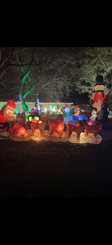 Pat Perry Colt #2.png