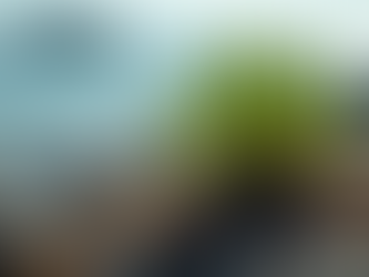 Embracing Change: How Adaptability Drives Success in Nature, Markets, and Careers