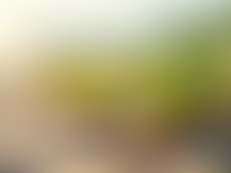 Adaptability in Nature and Markets: Lessons from Coastal Plants for Future Careers in the AI Era