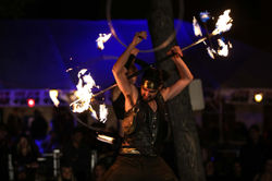 Edmonton Fringe Festival 2014