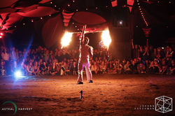 Fire Performance (7)