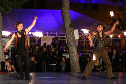 Edmonton Fringe Festival 2014