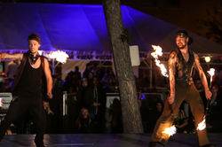 Edmonton Fringe Festival 2014