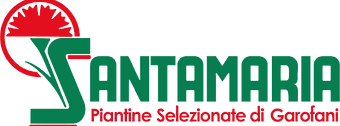 Logo Santamaria